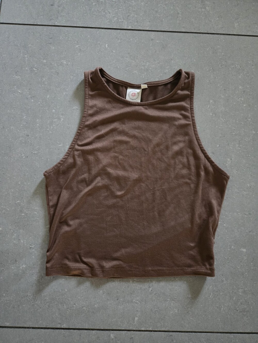 Sleeveless Brown Cropped Tank Top with High Neck